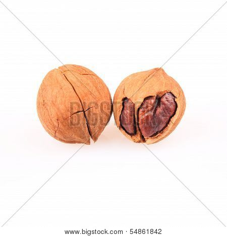 Pecan Nuts