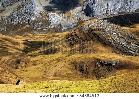 Quebrada Caliente in Cordiliera Huayhuash, Peru, South America