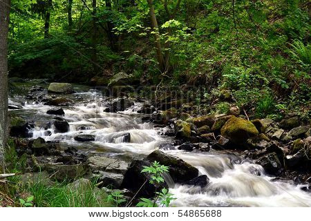 Wild Brook