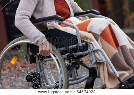 Disabled Elderly
