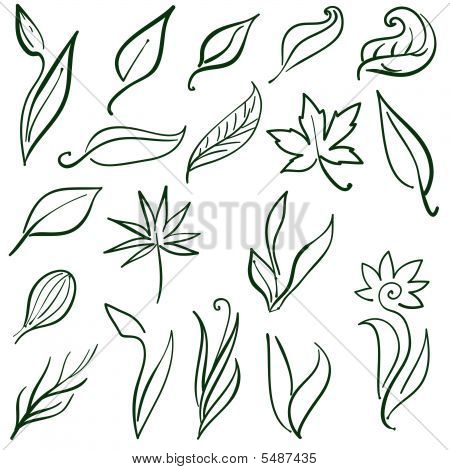 Conjunto de ilustraciones de manos libres de hojas y plantas