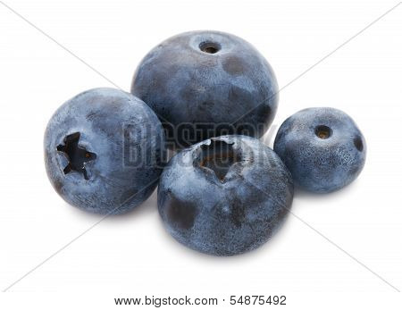 Blueberry