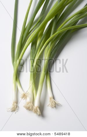 Tas d'oignons de printemps sur fond blanc