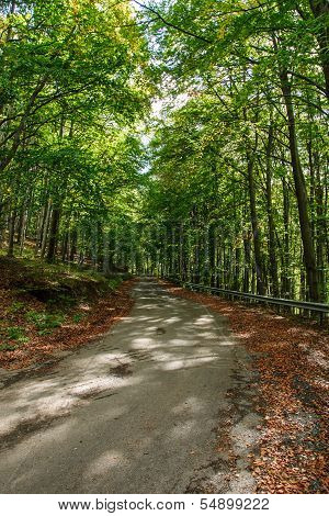 Bukk Hills