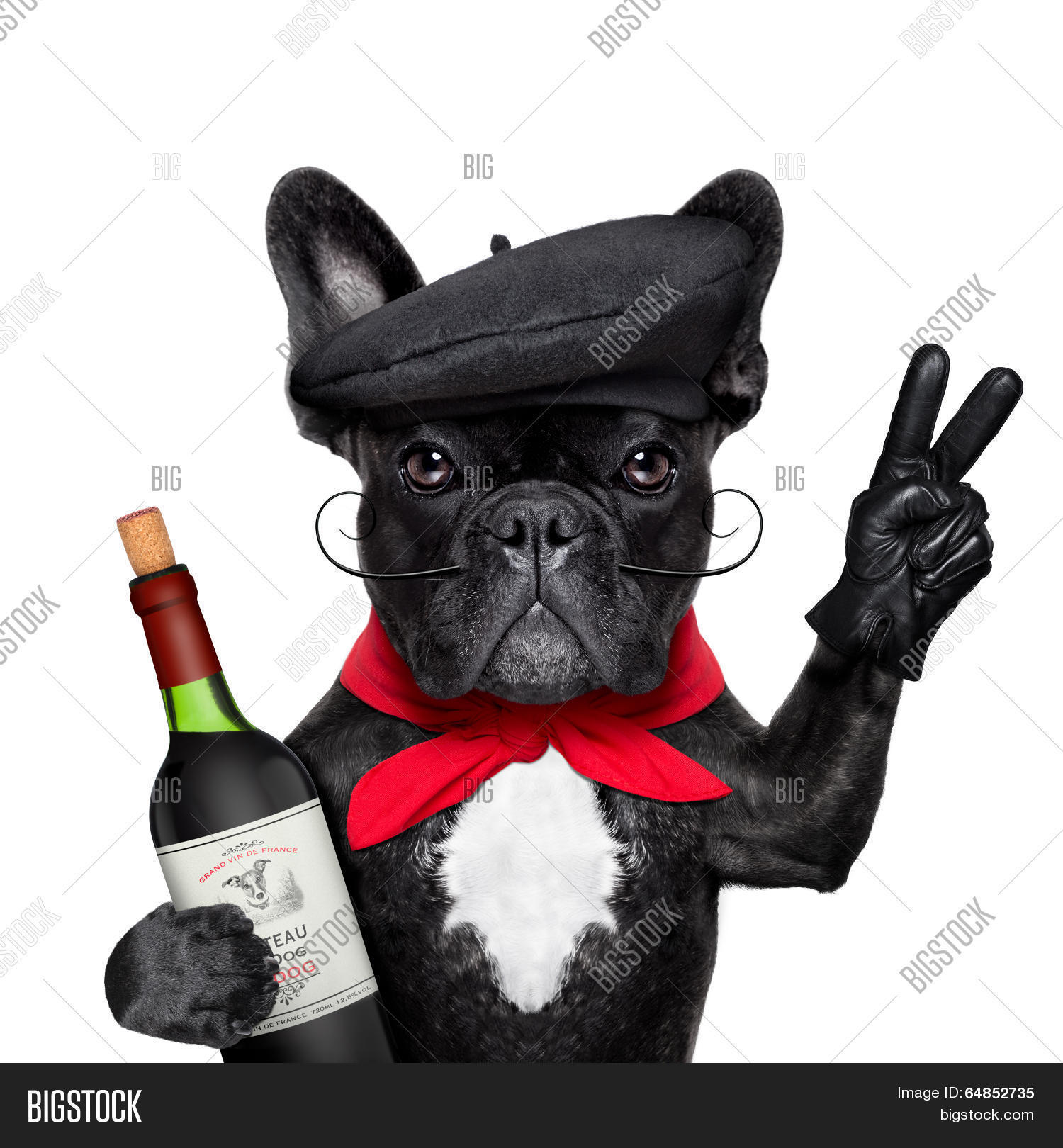 french beret for dogs