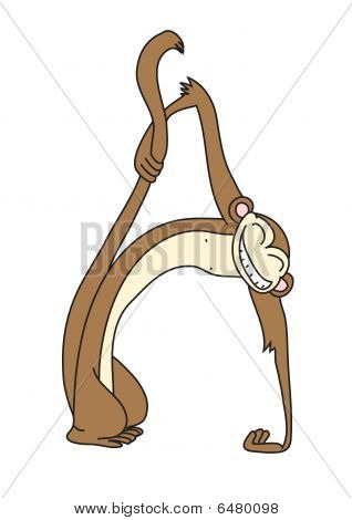 A Monkey
