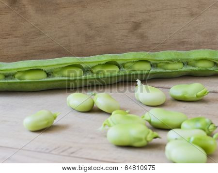 Seedcase broad beans.