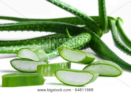 Cut pieces of Aloe Vera.