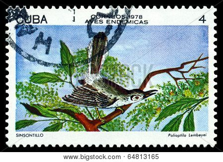 Vintage  Postage Stamp.  Cuban Gnatcatcher.