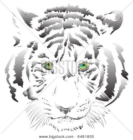 Tiger vektor