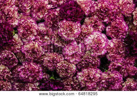Flower pattern and texture