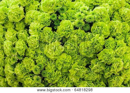 Flower pattern and texture