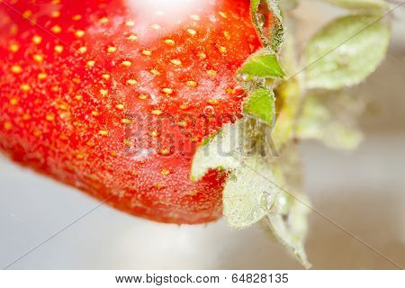 strawberry