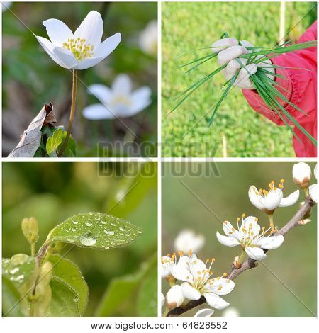 Nature of spring