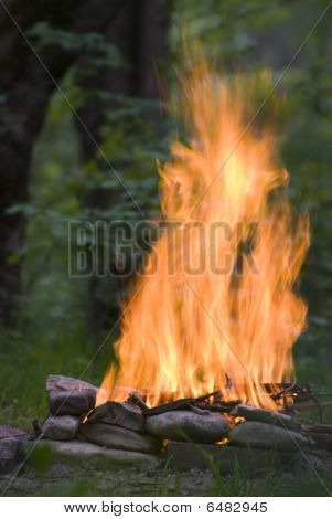 Forte fiamma di fuoco di accampamento