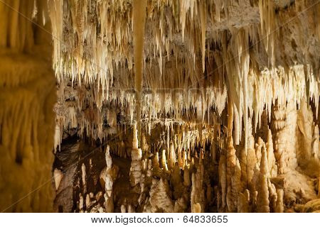 Millennium Stalactites