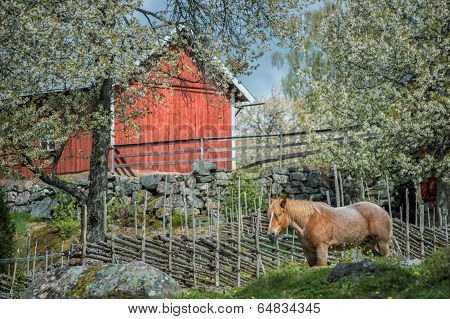 Springtime in Sweden