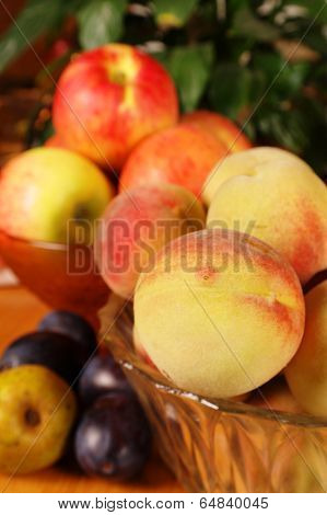 Autumn Fruits