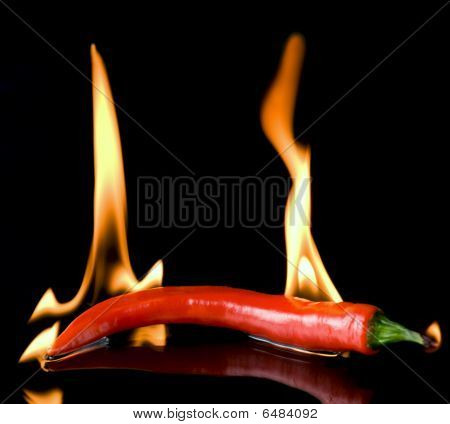 Velmi Hot Chili Pepper