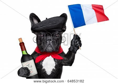 French Dog
