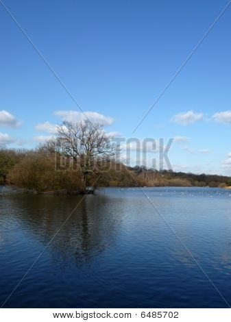 Hainault Wald Wasser