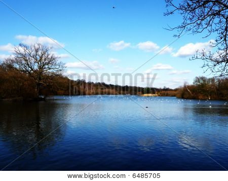Hainault Wald Wasser