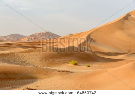 Sand Dunes In Oman Desert (oman)