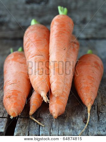 Fresh  Carrots