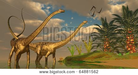 Diplodocus Dinosaur Romance