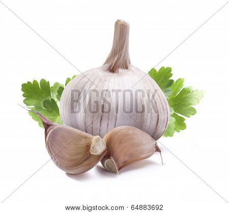 Garlic Parsley Isolated On White