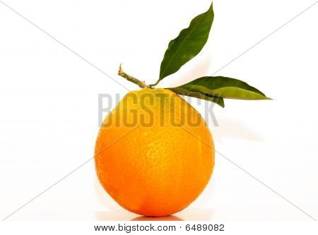Laranja fresca