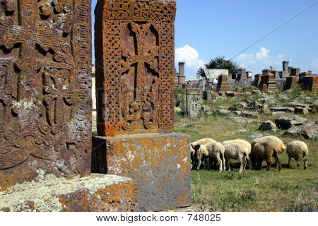armenischen Friedhof mit Schafe
