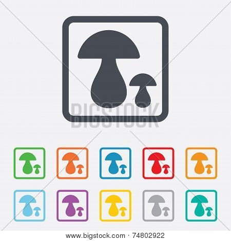 Mushroom sign icon. Boletus mushroom symbol.