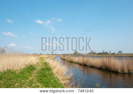 Holland folyó
