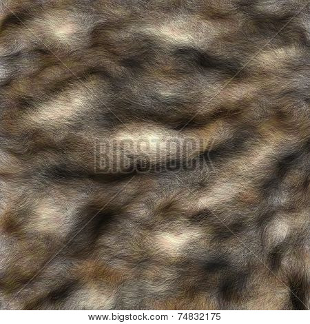 Fur pattern