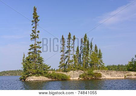 Isolated Pines On A Rocky Island
