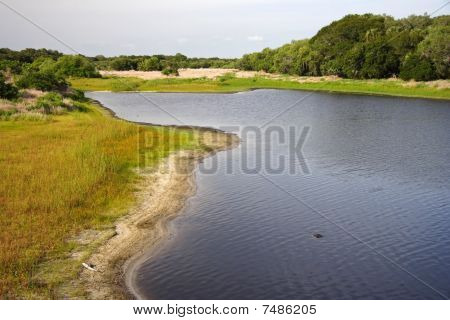 Myakka River
