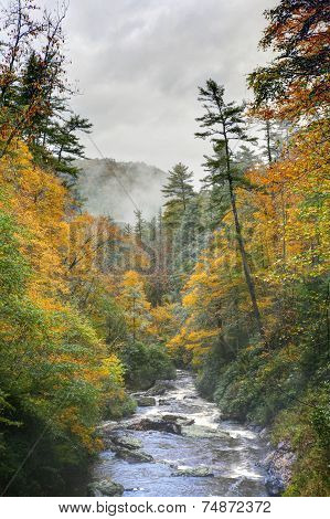 Scenic landscapes in Highlands NC