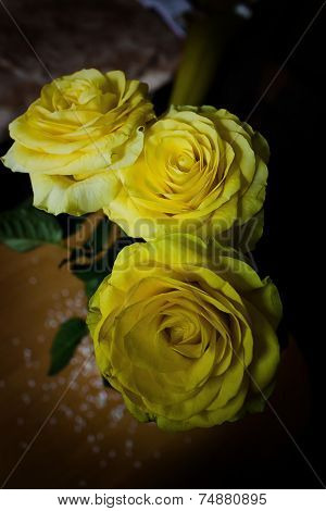 yellow roses