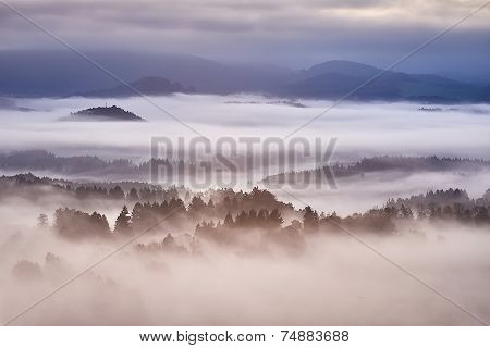Hilly Landscape With Fog