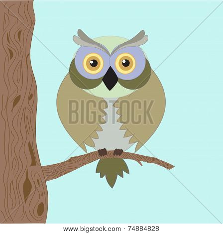 Old owl