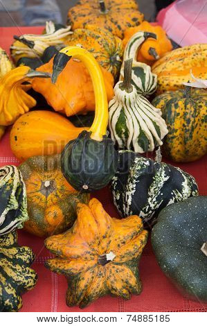 Decorative Pumpkins