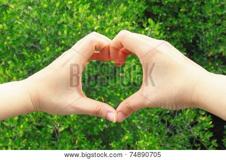 Hand making a heart shape on green