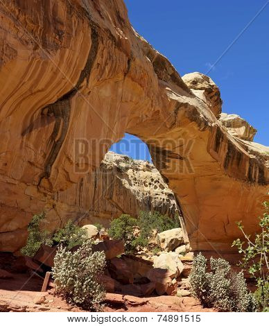Hickman Natural Bridge Capitol Reef National Park