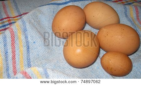 Fresh from the hen