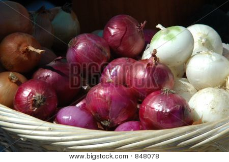 Cestino di cipolla