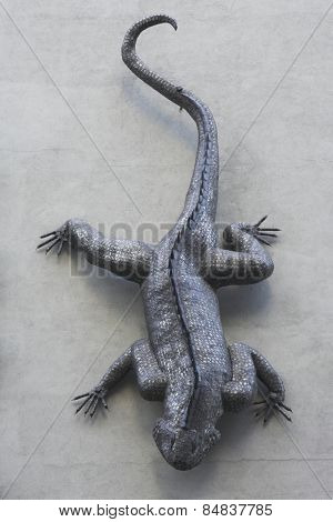 Iguana on Wall