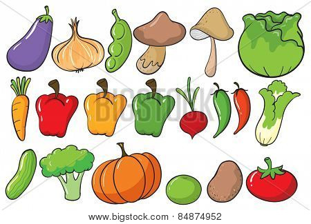 Different type of vegetables