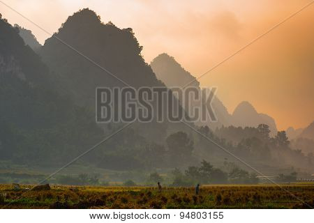 CAOBANG, VIETNAM, OCTOBER 5, 2014: Rice field in sunrise in Cao Bang, Vietnam. Caobang is North East province of Vietnam near China