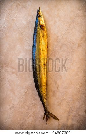 Pacific Saury